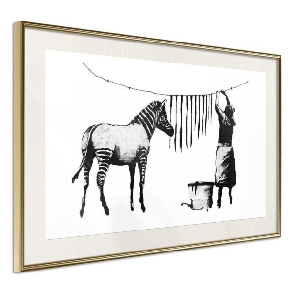 Banksy: Washing Zebra Stripes