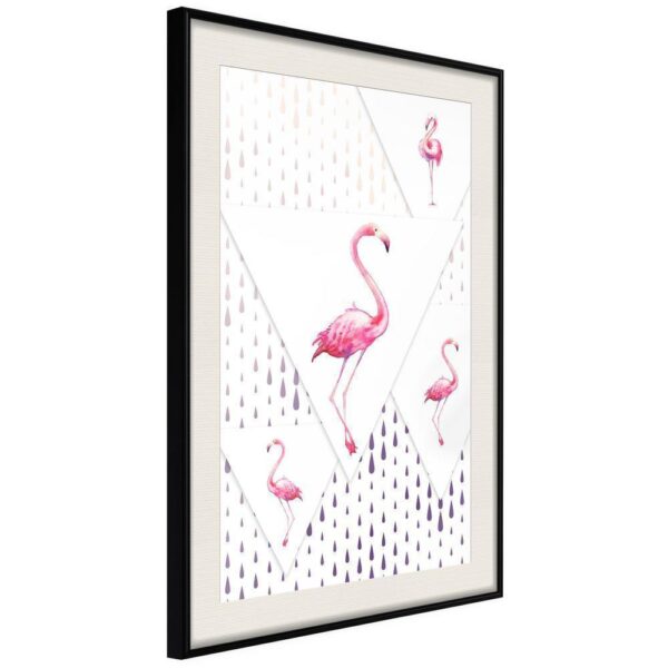 Flamingi i trójkąty