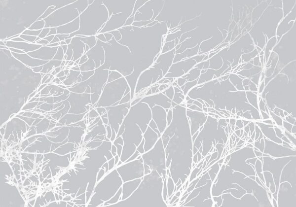 Fototapeta - Białe drzewa