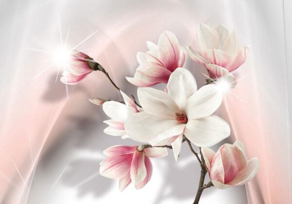 Fototapeta - Białe magnolie