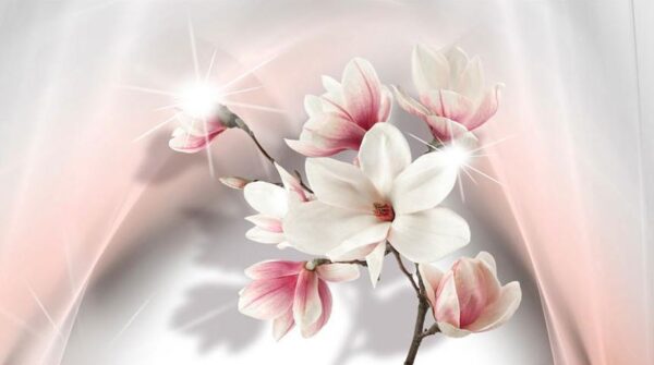 Fototapeta - Białe magnolie II