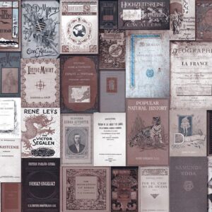 Fototapeta - Biblioteczka w stylu vintage - romantyczny motyw z okładkami książek