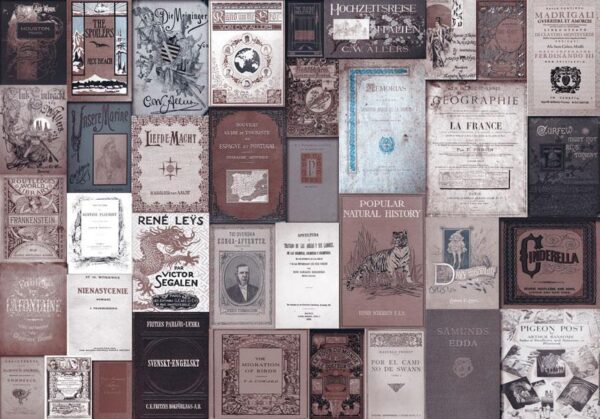 Fototapeta - Biblioteczka w stylu vintage - romantyczny motyw z okładkami książek