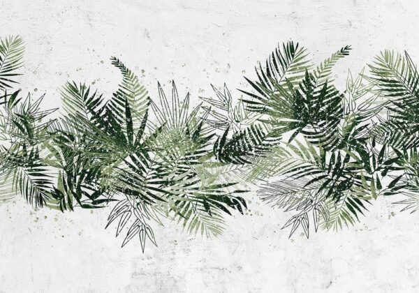 Fototapeta - Dżungla i zielony pióropusz - duże liście tropikalne na białym tle