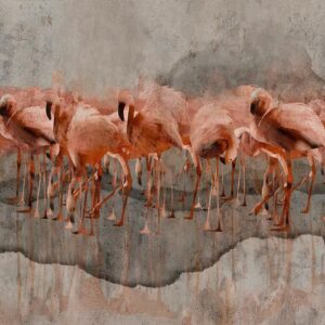 Fototapeta - Egzotyczne ptaki - różowe flamingi z cieniem na szarym betonowym tle