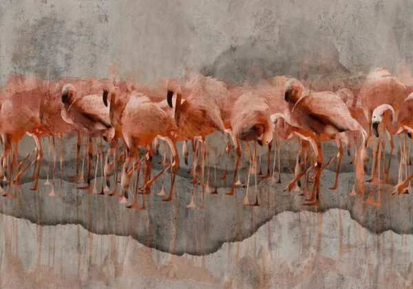 Fototapeta - Egzotyczne ptaki - różowe flamingi z cieniem na szarym betonowym tle
