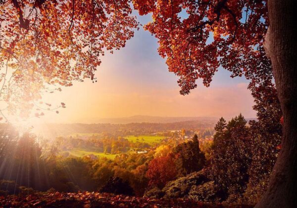 Fototapeta - Jesienny zachwyt - słoneczny pejzaż z wsią w otoczeniu drzew i pól