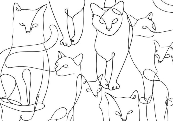 Fototapeta - Koci lineart - minimalistyczne szkice czarnych kotów na białym tle