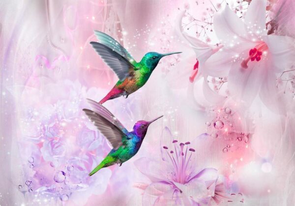 Fototapeta - Kolorowe kolibry (fioletowy)