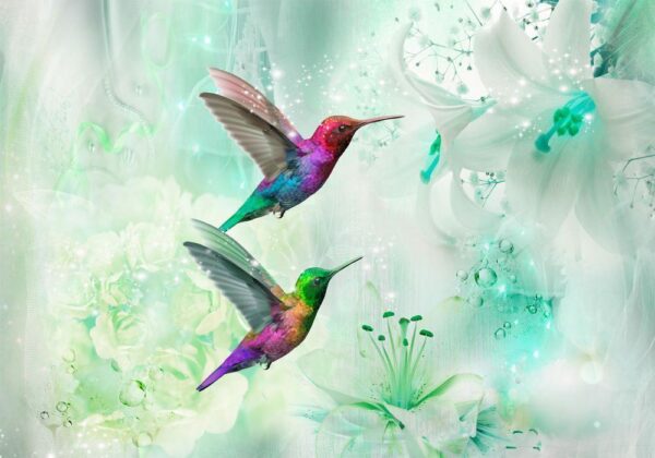 Fototapeta - Kolorowe kolibry (zielony)