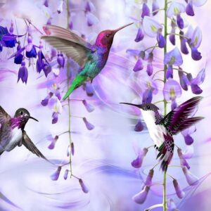 Fototapeta - Latające kolibry (fioletowy)
