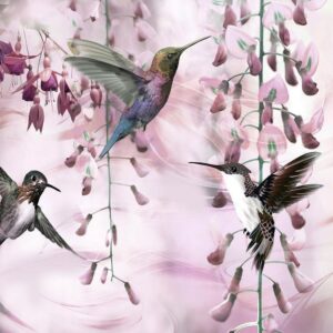Fototapeta - Latające kolibry (różowy)