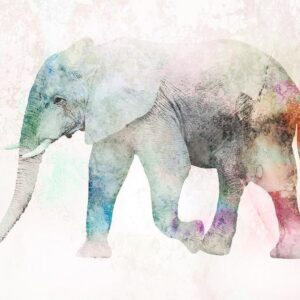 Fototapeta - Malowany słoń