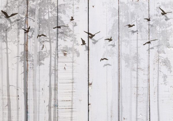Fototapeta - Minimalistyczny motyw - czarne ptaki na białym tle o teksturze drewna