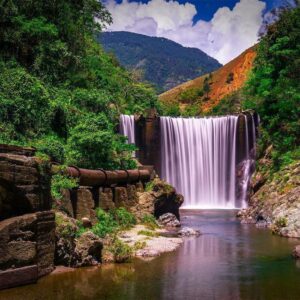 Fototapeta - Reggae Falls