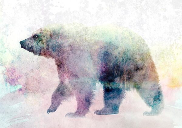 Fototapeta - Samotny niedźwiedź