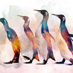 Fototapeta - Wędrówki pingwinów