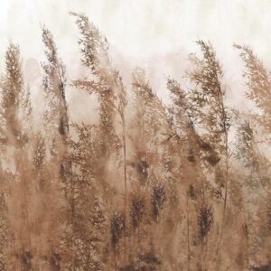 Fototapeta - Wysokie trawy - brązowy