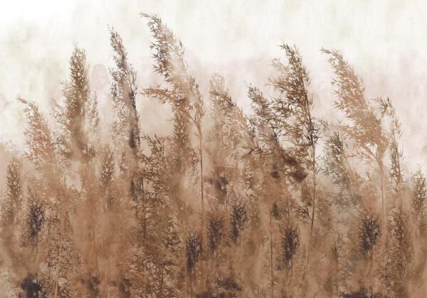 Fototapeta - Wysokie trawy - brązowy