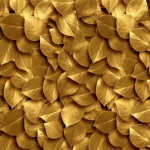Fototapeta - Złote liście