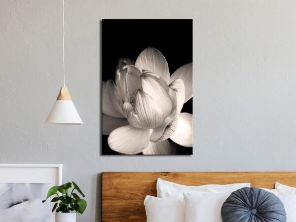 Obraz - Delikatność płatków w naturze (1-częściowy) - kwiat w czerni i bieli