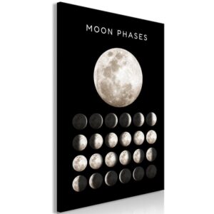 Obraz - Fazy księżyca (1-częściowy) pionowy