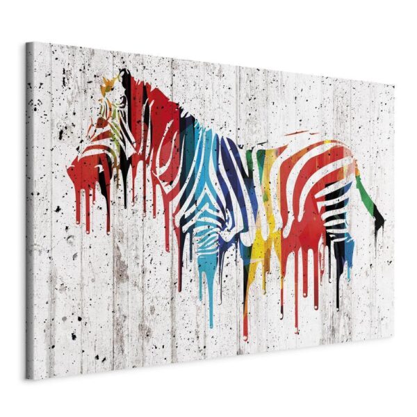 Obraz - Kolorowa zebra