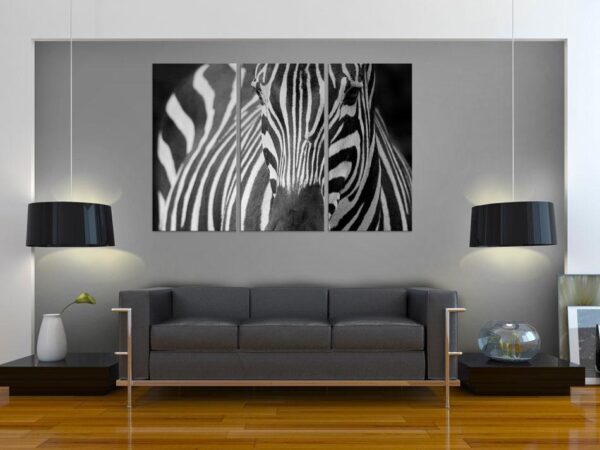 Obraz - Pani Zebra