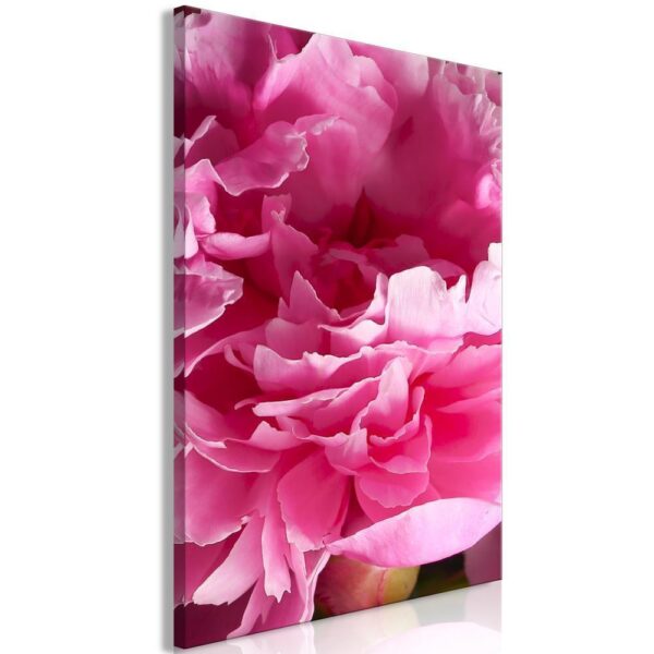 Obraz - Rozkwit piękna (1-częściowy) - różowy kwiat piwonii w objęciach natury