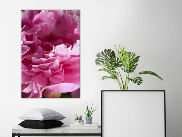 Obraz - Rozkwit piękna (1-częściowy) - różowy kwiat piwonii w objęciach natury