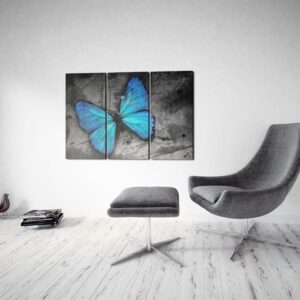 Obraz - Studium motyla - tryptyk