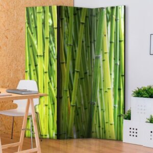 Parawan - Bambusowy las