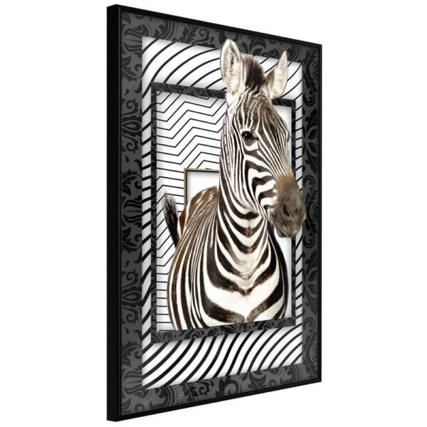 Zebra w ramie