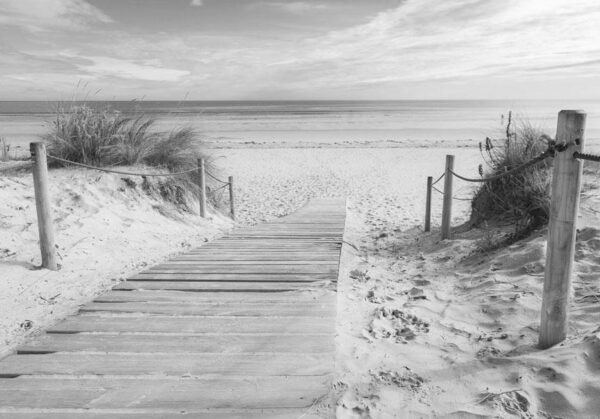 Fototapeta - Na plaży - czarno-biały pejzaż