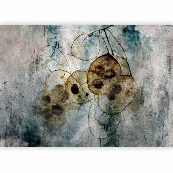 Fototapeta - Naturia i lunaria
