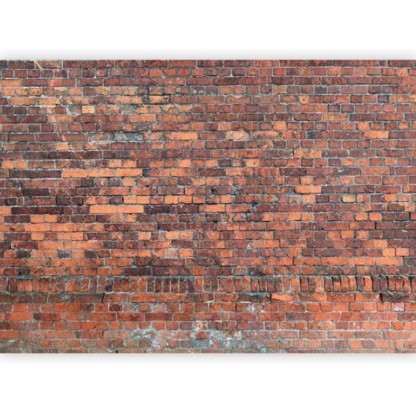 Fototapeta - Vintage Wall (Red Brick)