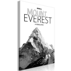 Obraz - Mount Everest (1-częściowy) pionowy