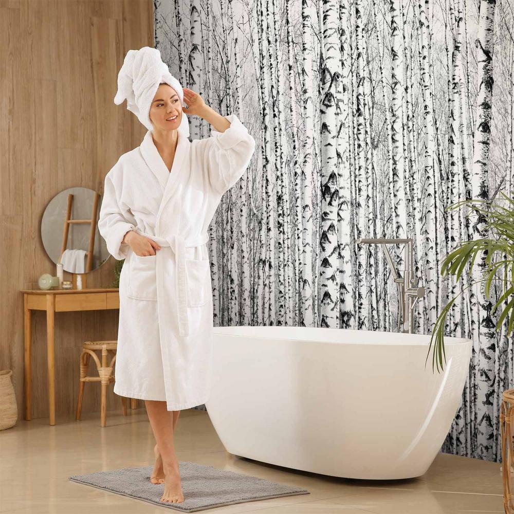 Fototapeta - Brzozowy las