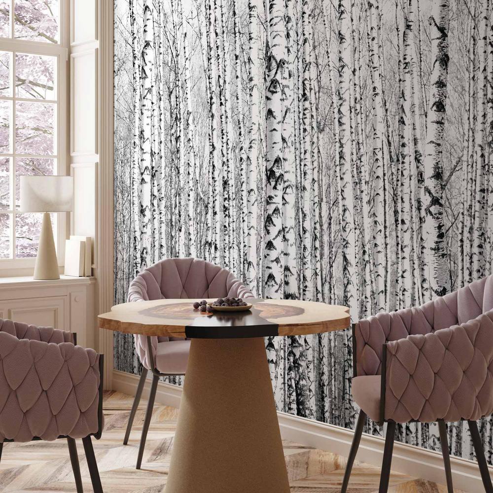 Fototapeta - Brzozowy las