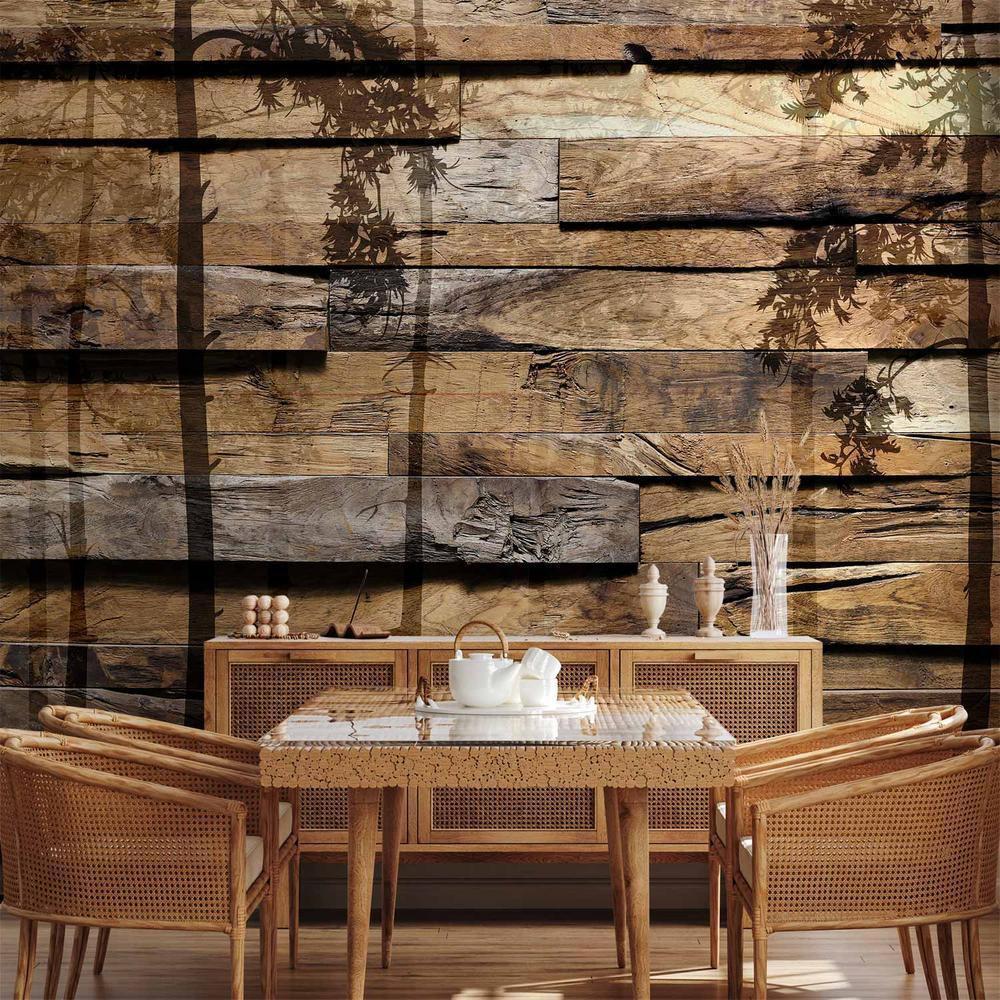 Fototapeta - Cień drzew