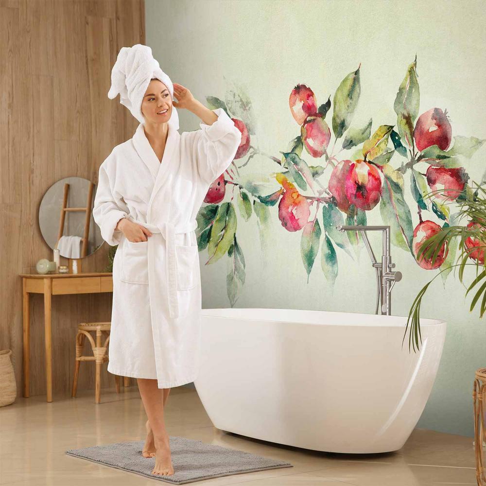 Fototapeta - Gałąź jabłoni - delikatny pejzaż z rośliną i jabłkami na białym tle