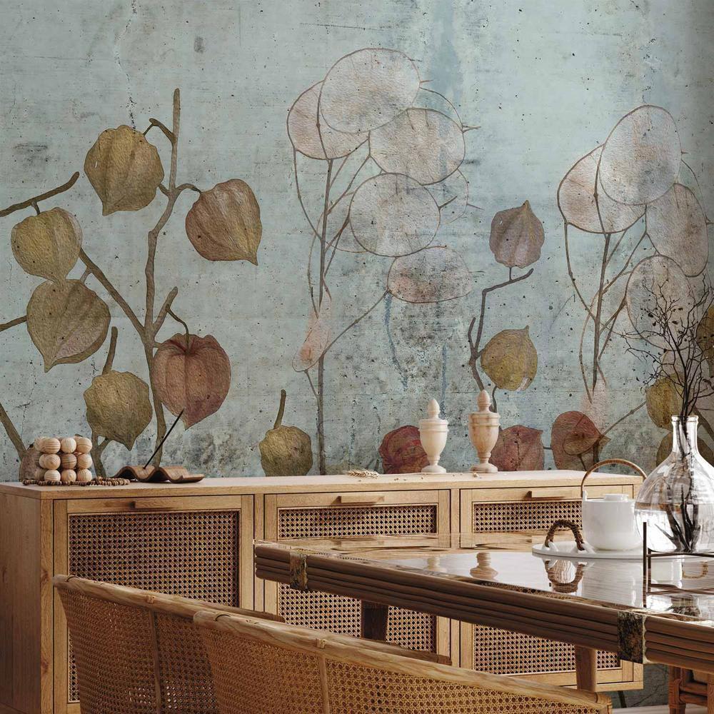 Fototapeta - Malowana lunaria