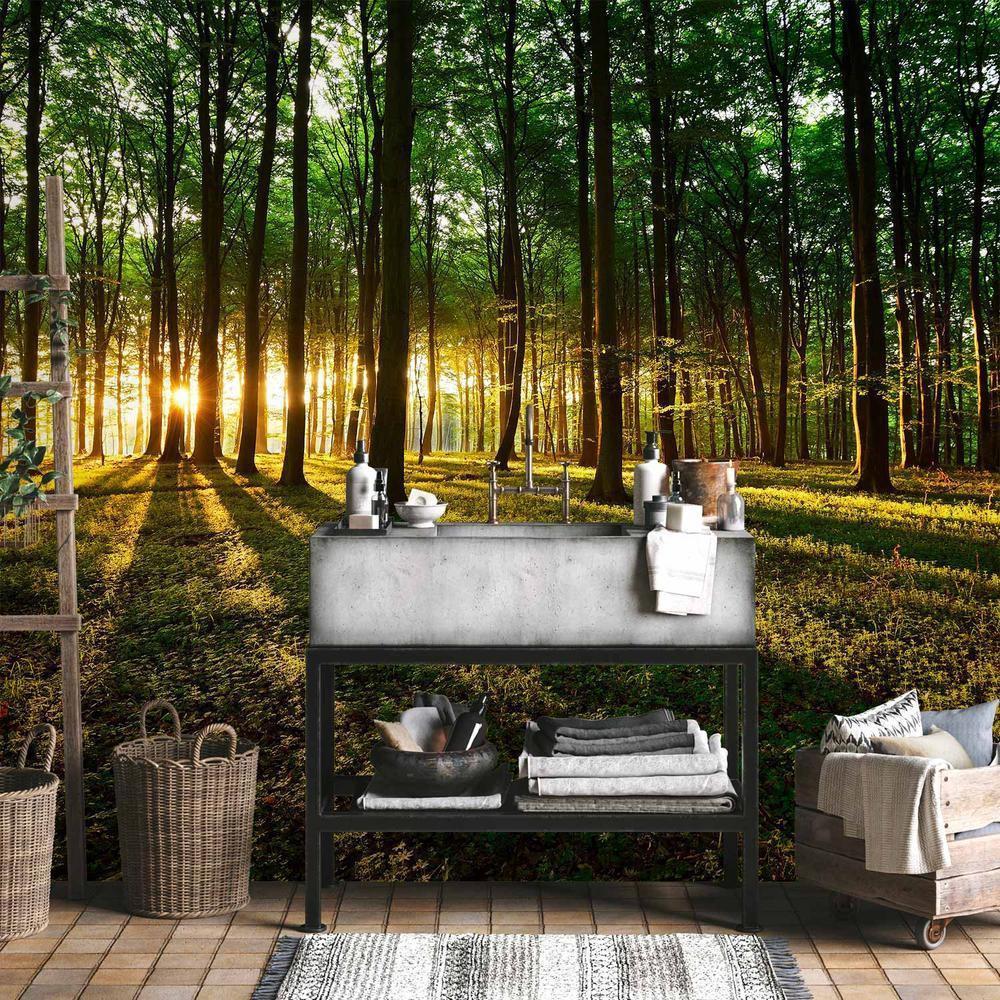 Fototapeta - Mistyczny poranek