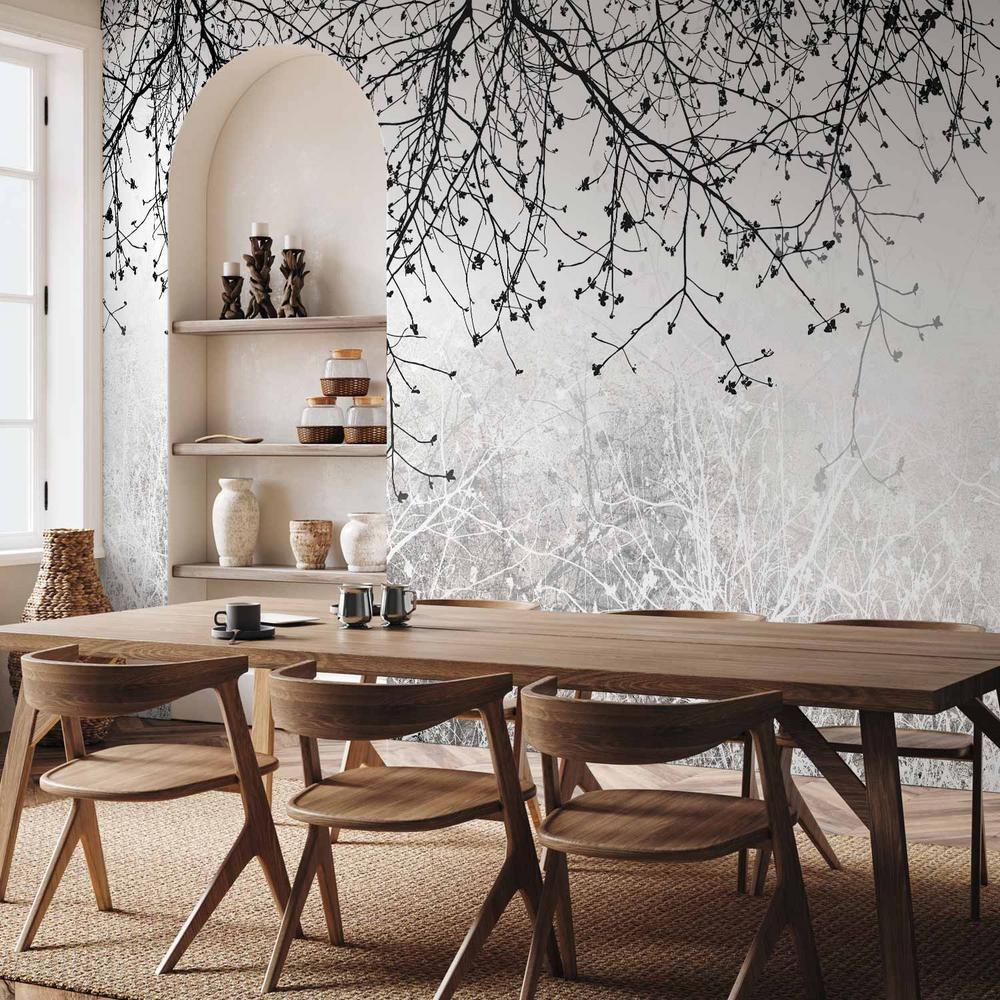 Fototapeta - Naturalna jasność