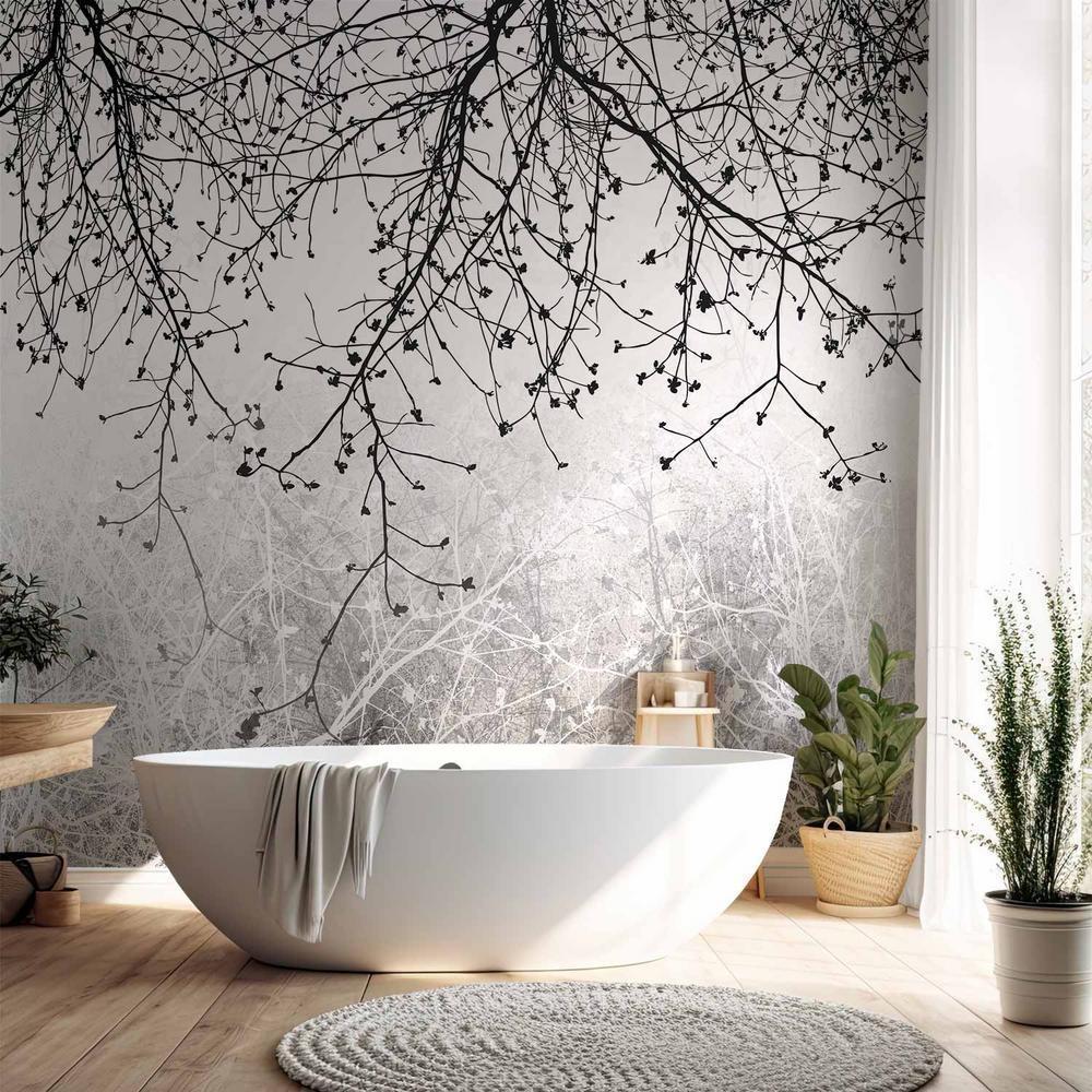 Fototapeta - Naturalna jasność