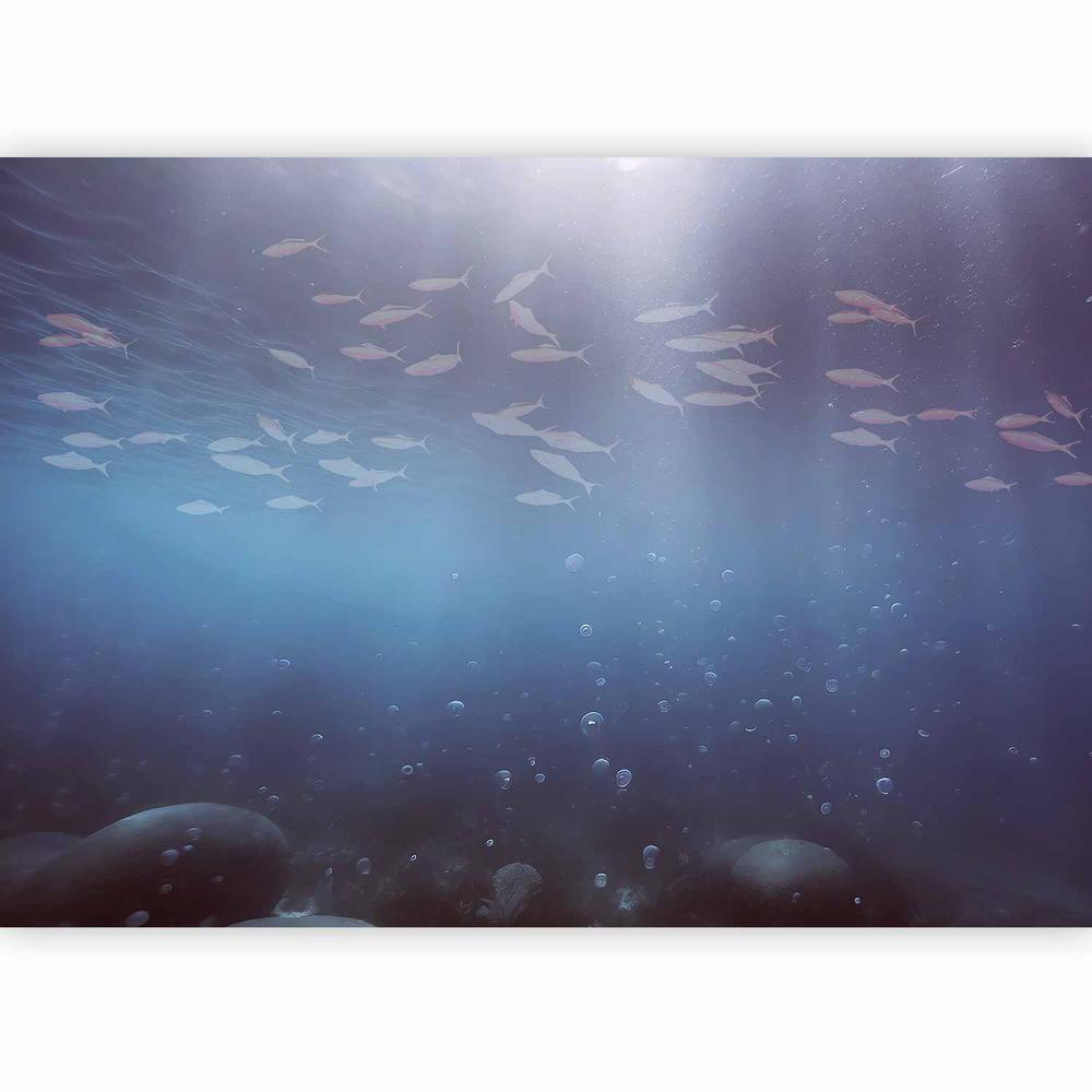 Fototapeta - Rybki w głębinach