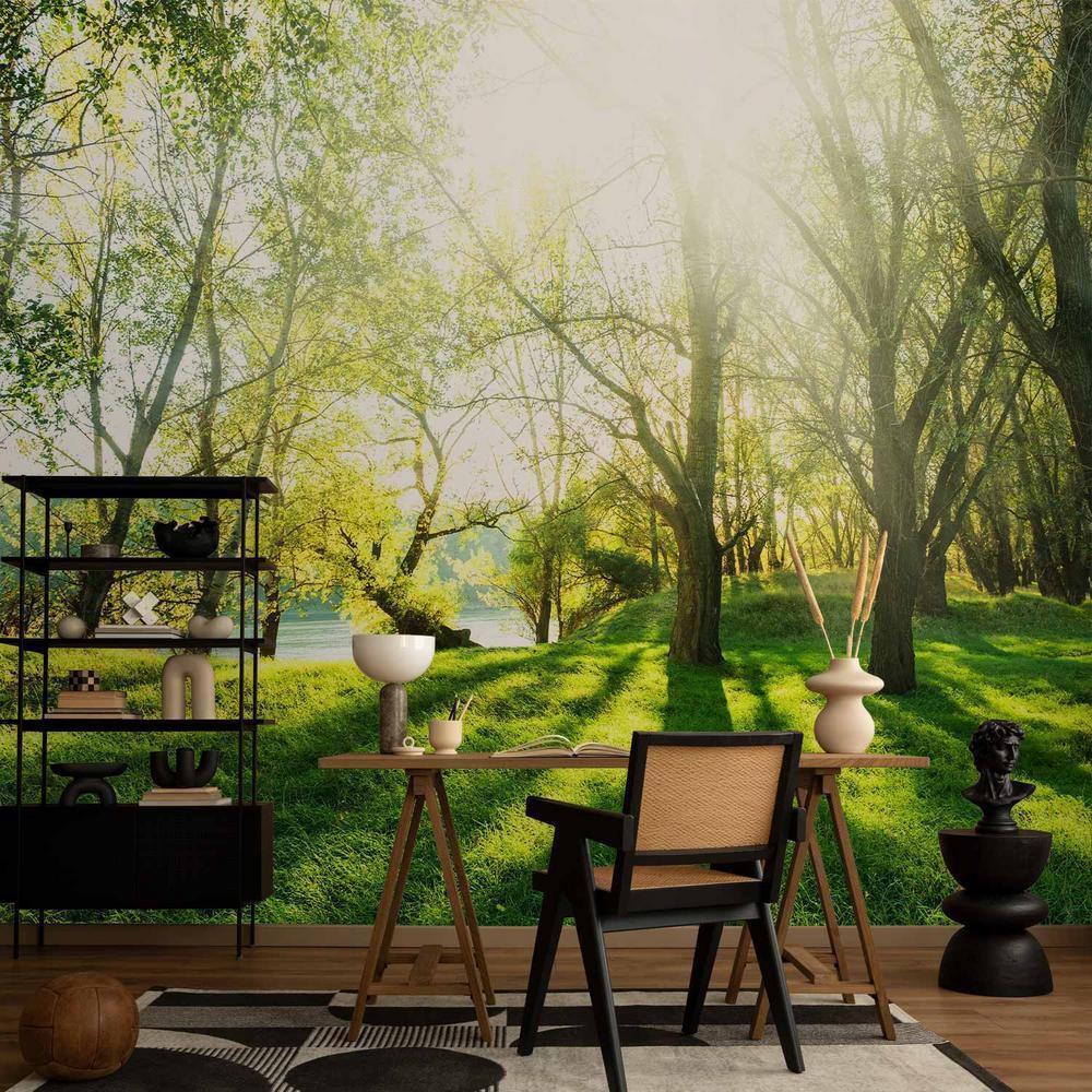 Fototapeta - Słoneczna majówka