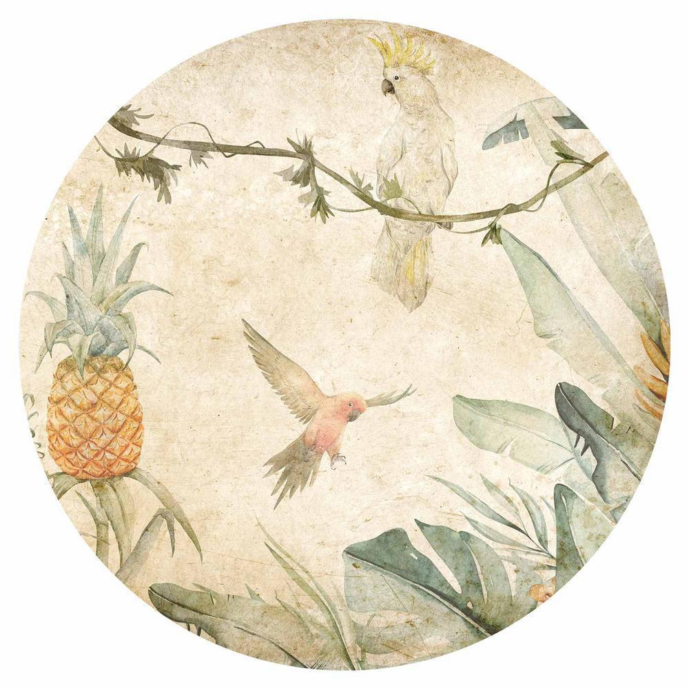 Fototapeta okrągła - Papugi w dżungli