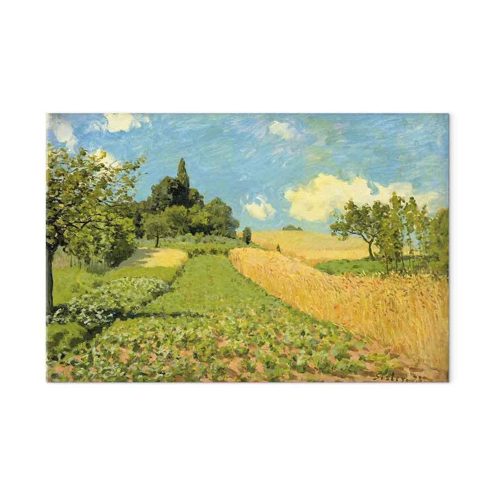 Obraz - Alfred Sisley – Pole pszenicy koło Argenteuil