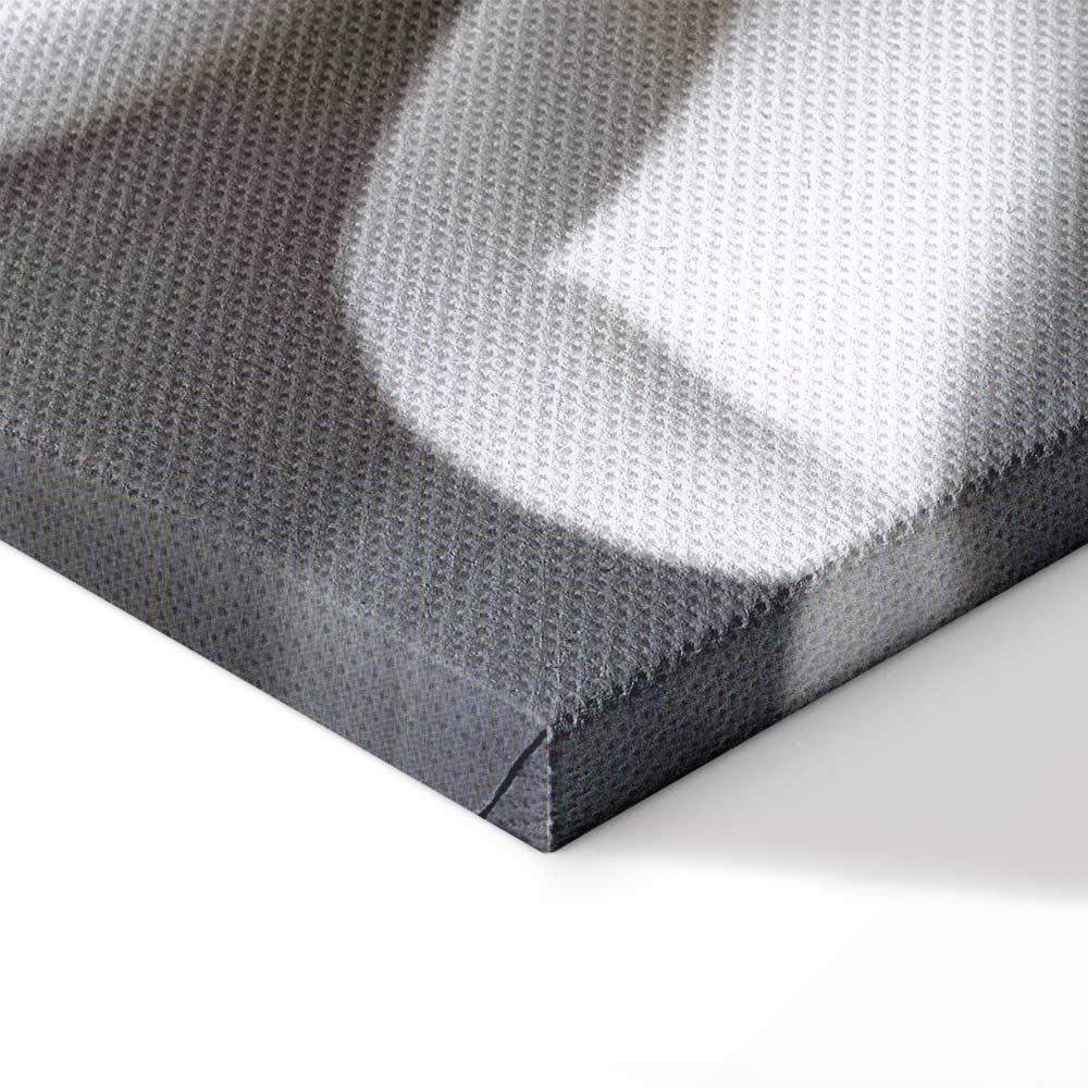 Obraz - Biała dalia